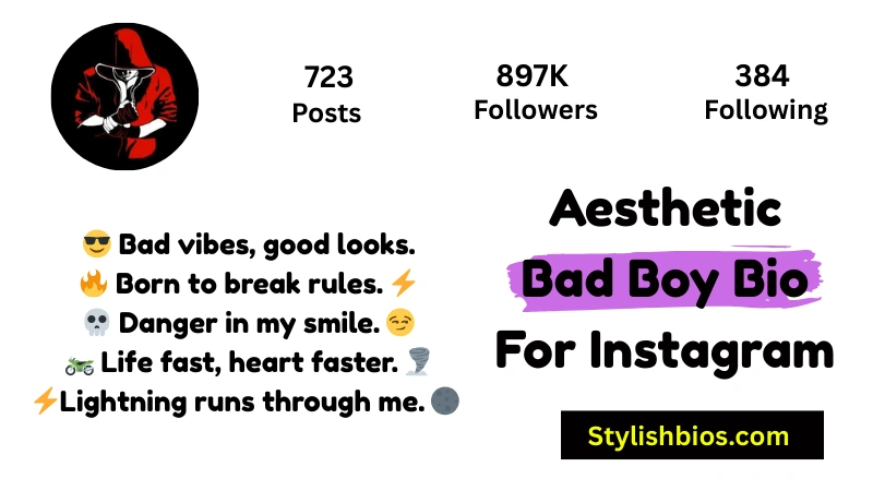 Aesthetic Bad Boy Bio For Instagram