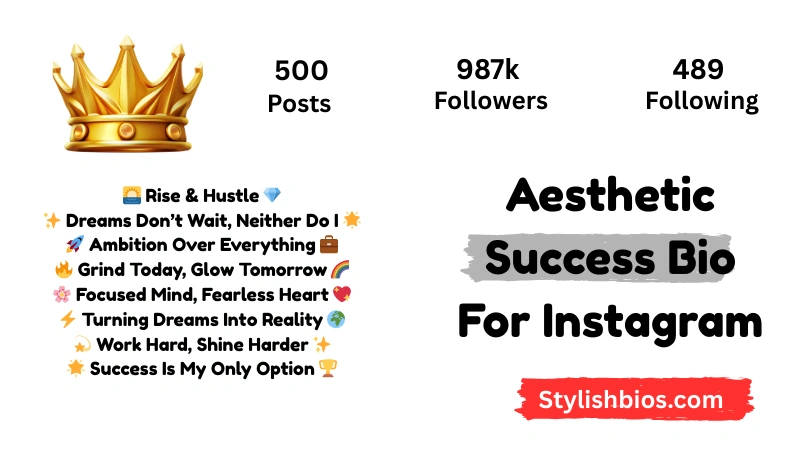 590+ Best Success Bio for Instagram Stylish, Motivational Bio (2025) Aesthetic Success Bio For Instagram
