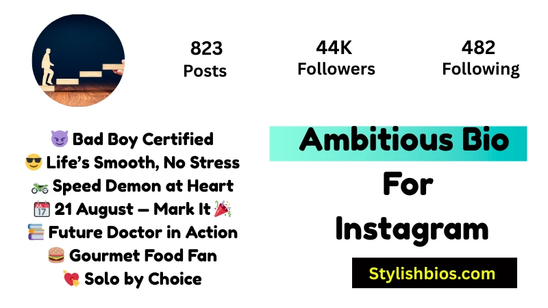 Ambitious Bio For Instagram