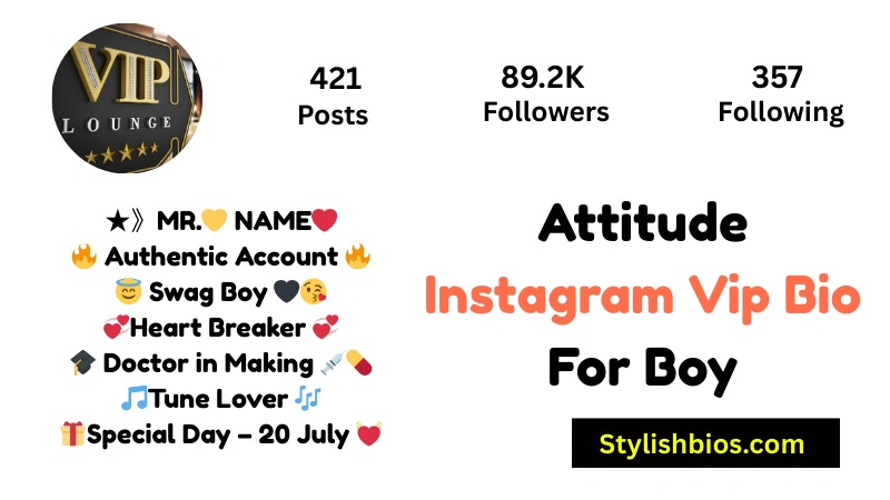465+ Best Instagram VIP Bio Style for Boys and Girls (Copy & Paste 2025) Attitude Instagram Vip Bio For Boy