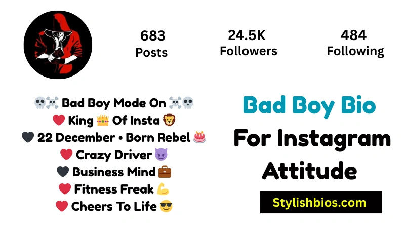 Bad Boy Bio For Instagram Attitude