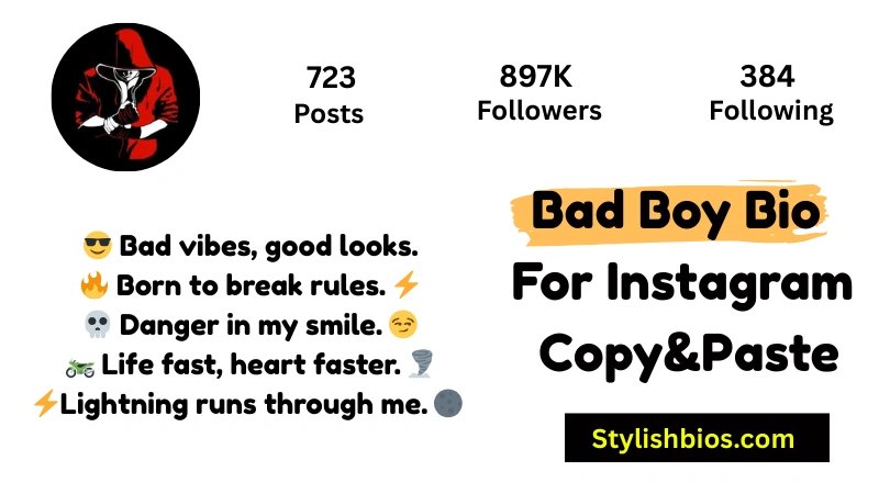 Bad Boy Bio For Instagram Copy And Paste