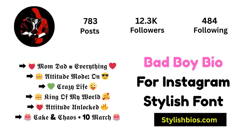 Bad Boy Bio For Instagram Stylish Font