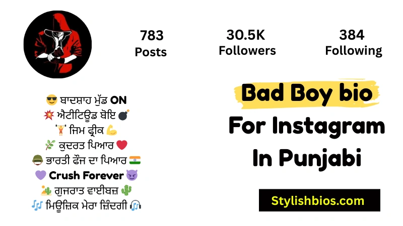 Bad Boy bio For Instagram In Punjabi