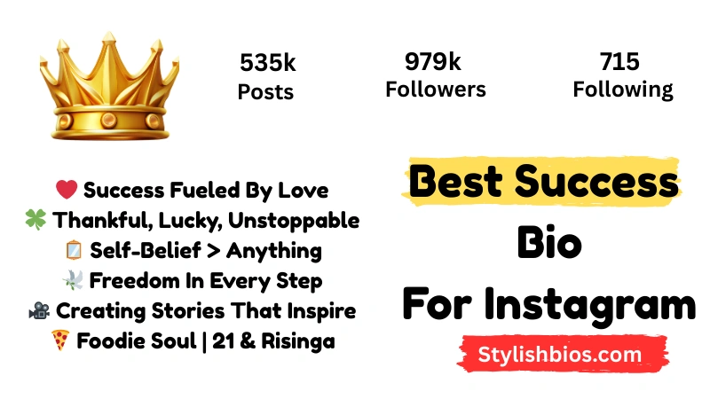 590+ Best Success Bio for Instagram Stylish, Motivational Bio (2025) Best Success Bio For Instagram