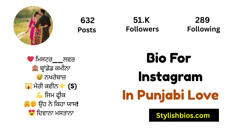 455+ Best Instagram Bio in Punjabi (Stylish, Attitude & Trendy 2025) Bio For Instagram In Punjabi Love