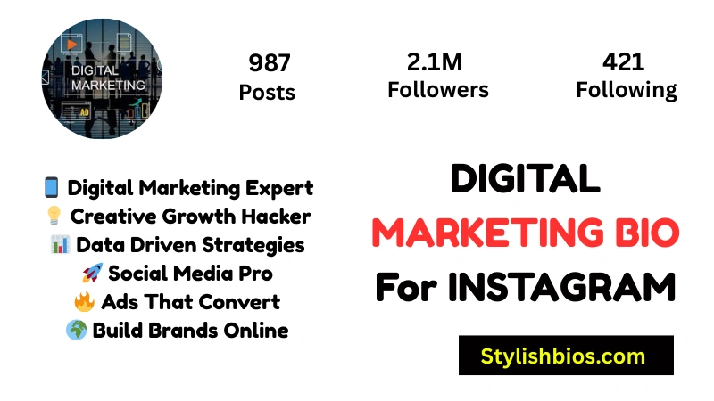 Digital Marketing Bio For Instagram