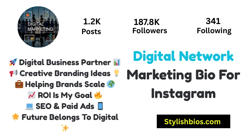 Digital Network Marketing Bio For Instagram