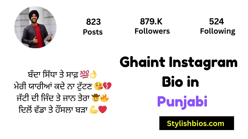 455+ Best Instagram Bio in Punjabi (Stylish, Attitude & Trendy 2025) Ghaint Instagram Bio in Punjabi