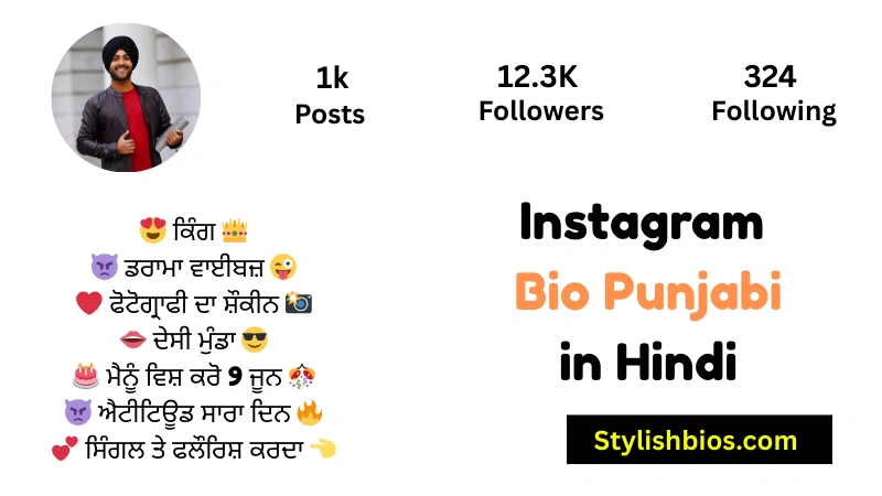 455+ Best Instagram Bio in Punjabi (Stylish, Attitude & Trendy 2025) Instagram Bio Punjabi in Hindi