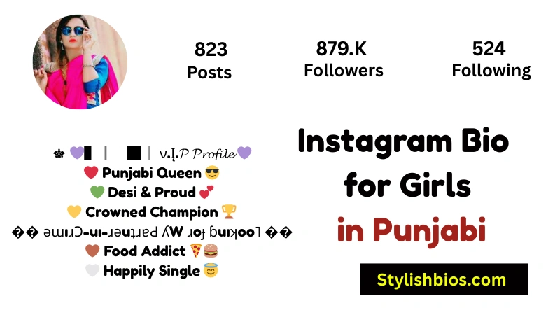 455+ Best Instagram Bio in Punjabi (Stylish, Attitude & Trendy 2025) Instagram Bio for Girls in Punjabi
