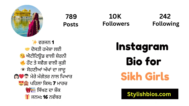 455+ Best Instagram Bio in Punjabi (Stylish, Attitude & Trendy 2025) Instagram Bio for Sikh Girls