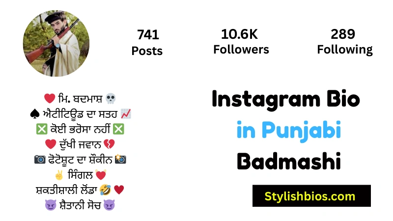 455+ Best Instagram Bio in Punjabi (Stylish, Attitude & Trendy 2025) Instagram Bio in Punjabi Badmashi