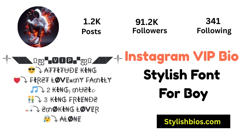 465+ Best Instagram VIP Bio Style for Boys and Girls (Copy & Paste 2025) Instagram VIP Bio Stylish Font For Boy