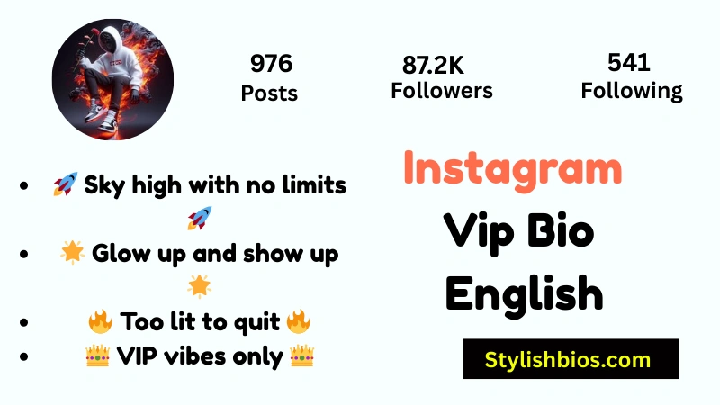 465+ Best Instagram VIP Bio Style for Boys and Girls (Copy & Paste 2025) Instagram Vip Bio English