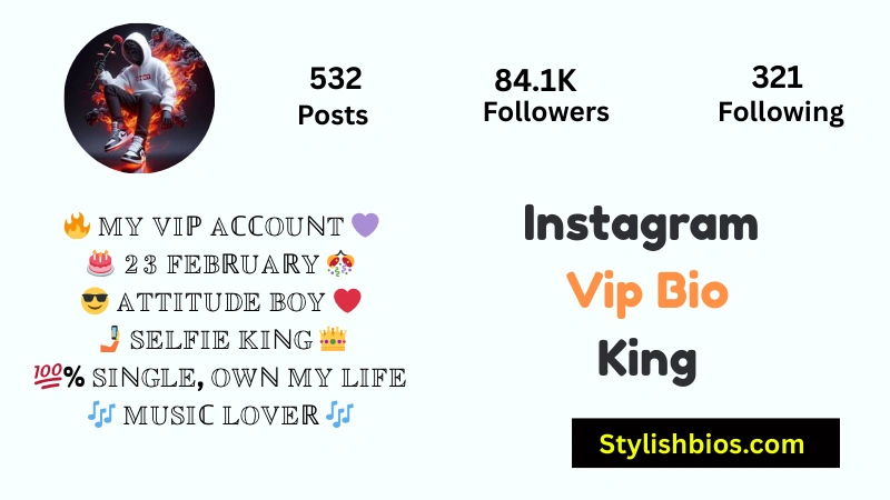 465+ Best Instagram VIP Bio Style for Boys and Girls (Copy & Paste 2025) Instagram Vip Bio King