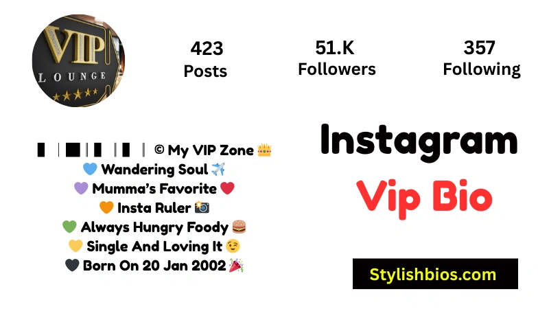465+ Best Instagram VIP Bio Style for Boys and Girls (Copy & Paste 2025) Instagram Vip Bio