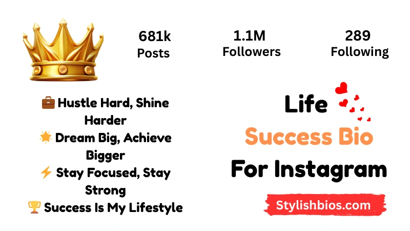 590+ Best Success Bio for Instagram Stylish, Motivational Bio (2025) Life Success Bio For Instagram