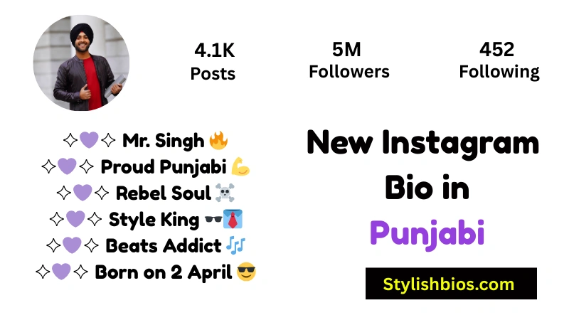 455+ Best Instagram Bio in Punjabi (Stylish, Attitude & Trendy 2025) New Instagram Bio in Punjabi