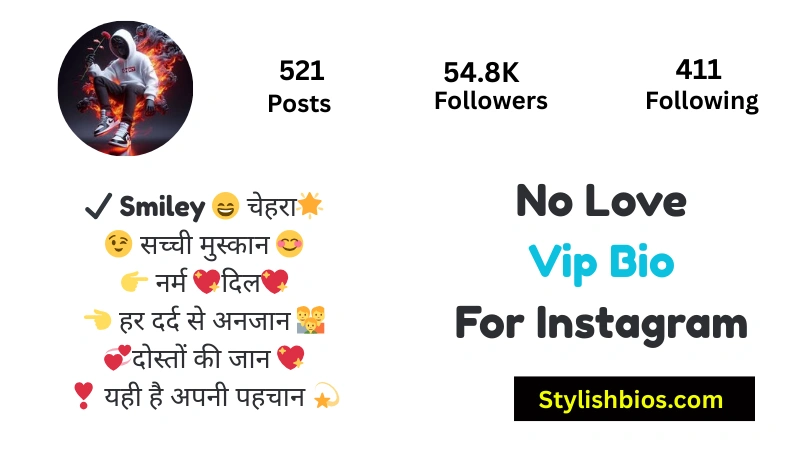 465+ Best Instagram VIP Bio Style for Boys and Girls (Copy & Paste 2025) No Love Vip Bio For Instagram