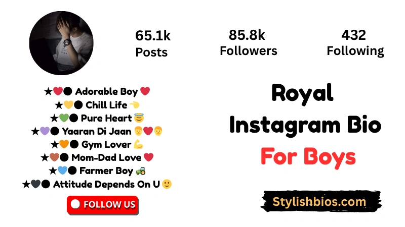 Top【1900+】Instagram Bio For Boys (2025): Cool, Attitude & Stylish Royal Instagram Bio For Boys