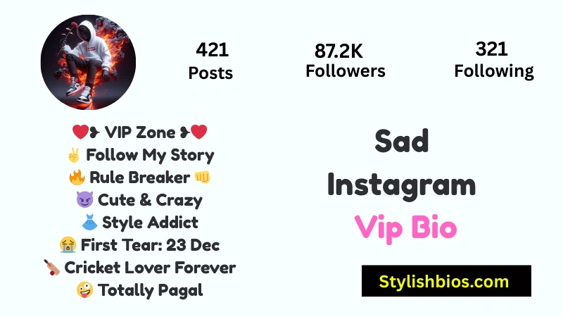 465+ Best Instagram VIP Bio Style for Boys and Girls (Copy & Paste 2025) Sad Instagram Vip Bio