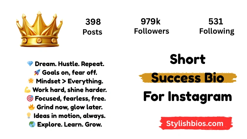 590+ Best Success Bio for Instagram Stylish, Motivational Bio (2025) Short Success Bio For Instagram