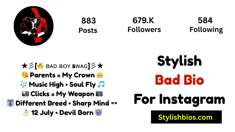 Stylish Bad Bio For Instagram