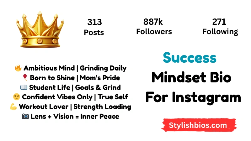 590+ Best Success Bio for Instagram Stylish, Motivational Bio (2025) Success Mindset Bio For Instagram