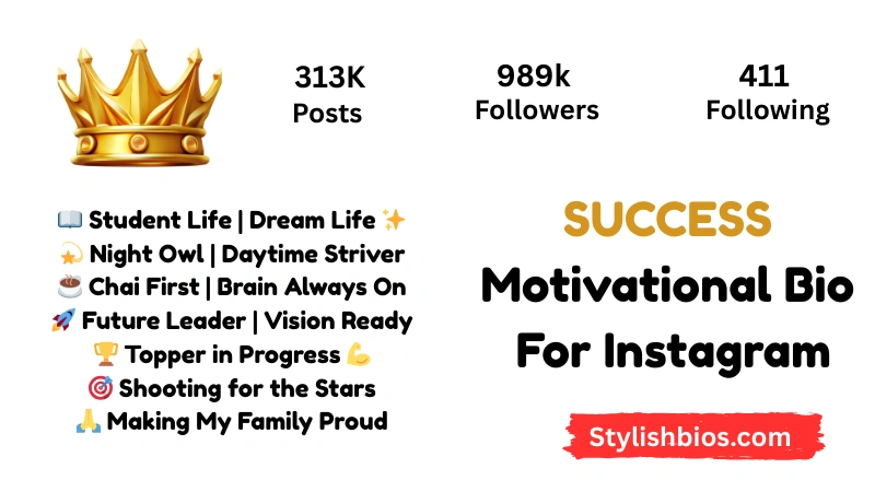 590+ Best Success Bio for Instagram Stylish, Motivational Bio (2025) Success Motivational Bio For Instagram