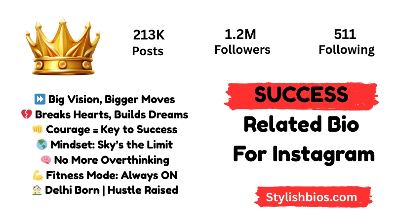 590+ Best Success Bio for Instagram Stylish, Motivational Bio (2025) Success Related Bio For Instagram