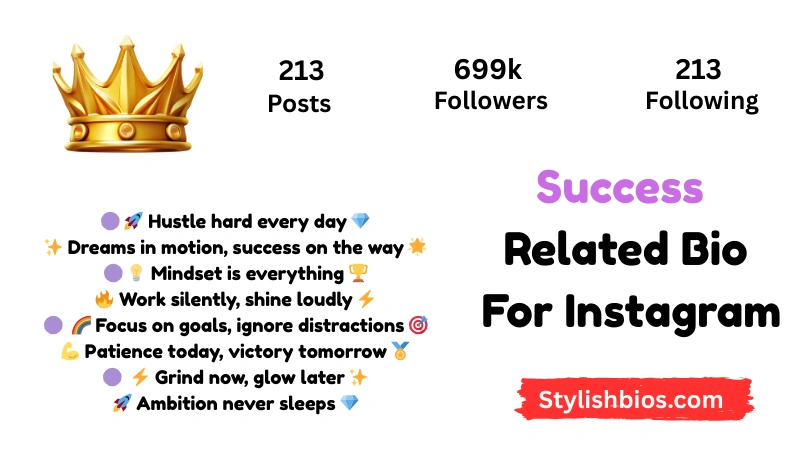 590+ Best Success Bio for Instagram Stylish, Motivational Bio (2025) Success Related Bio For Instagram