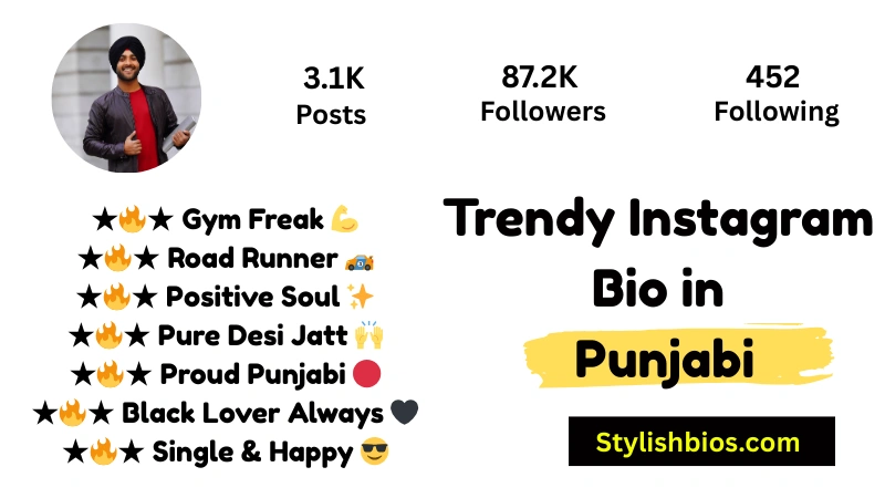 455+ Best Instagram Bio in Punjabi (Stylish, Attitude & Trendy 2025) Trendy Instagram Bio in Punjabi