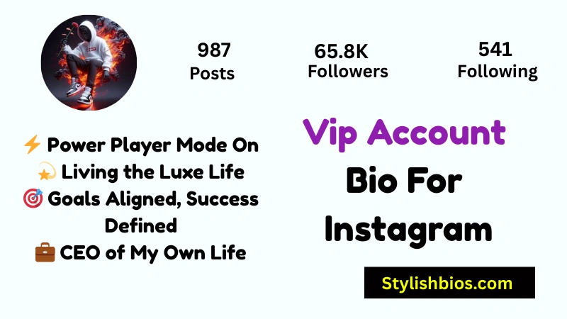 465+ Best Instagram VIP Bio Style for Boys and Girls (Copy & Paste 2025) Vip Account Bio For Instagram