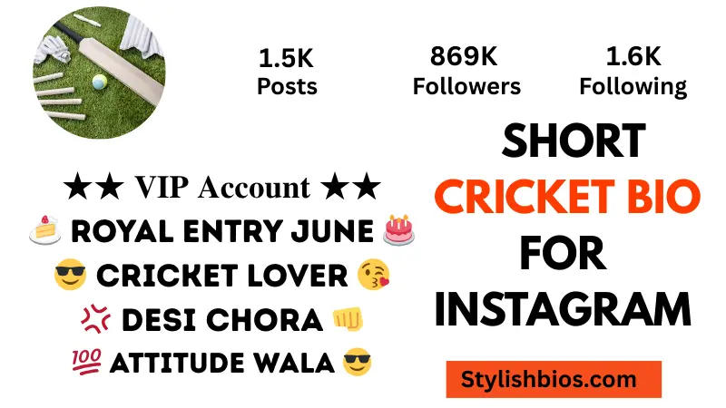 650+ Best Cricket Bio For Instagram – Stylish Cricket Lover Bios (Copy & Paste) short cricket bio for instagram