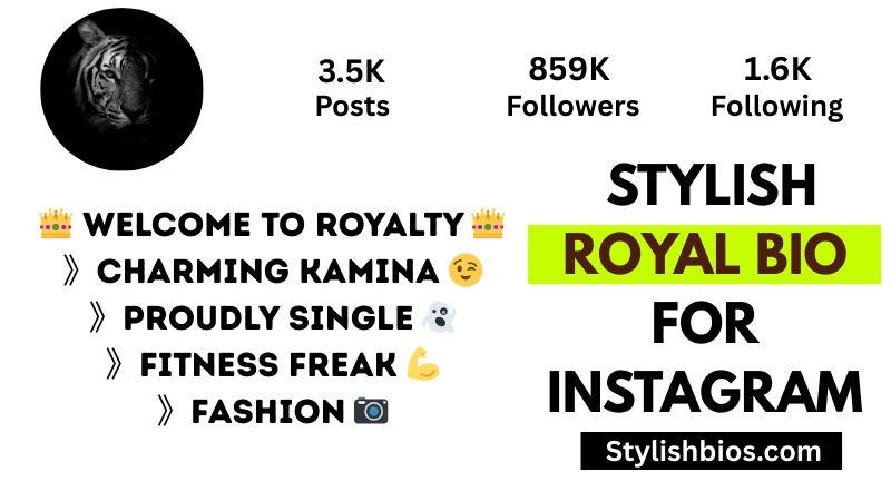 350+ Best Royal Bio for Instagram | King, Queen, VIP & Attitude (2025) stylish royal bio for Instagram