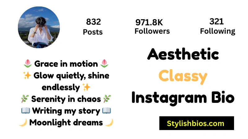 Aesthetic Classy Instagram Bio