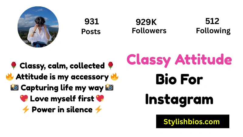 Classy Attitude Bio For Instagram