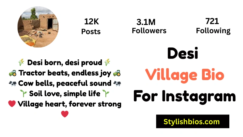 Desi Village Bio For Instagram