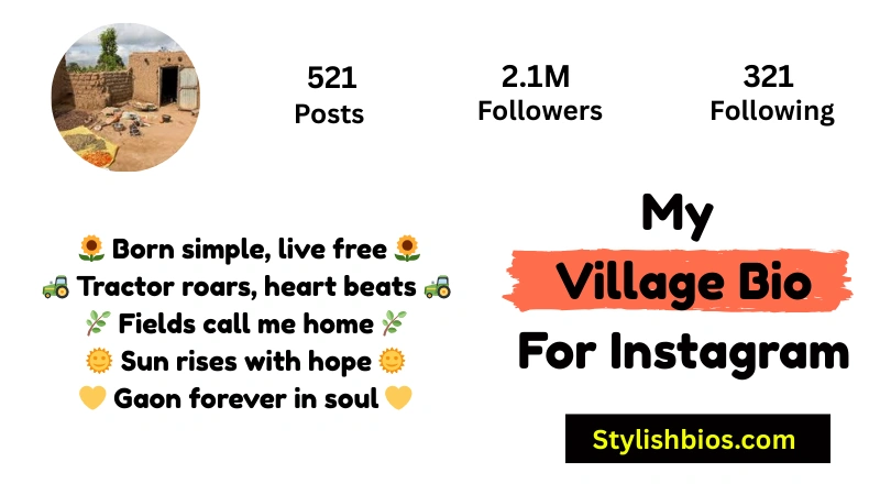 My Village Bio For Instagram