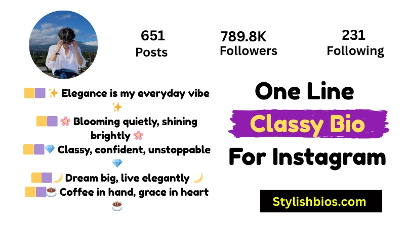 One Line Classy Bio For Instagram