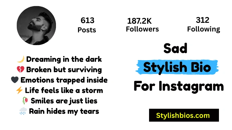 Sad Stylish Bio For Instagram
