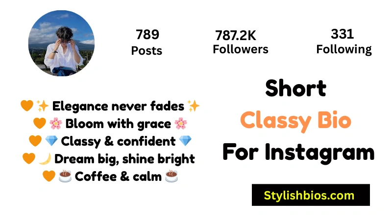 Short Classy Bio For Instagram