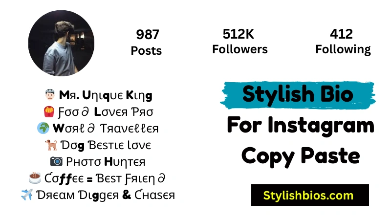 Stylish Bio For Instagram Copy Paste