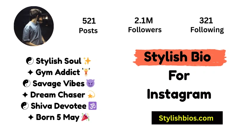 Stylish Bio For Instagram