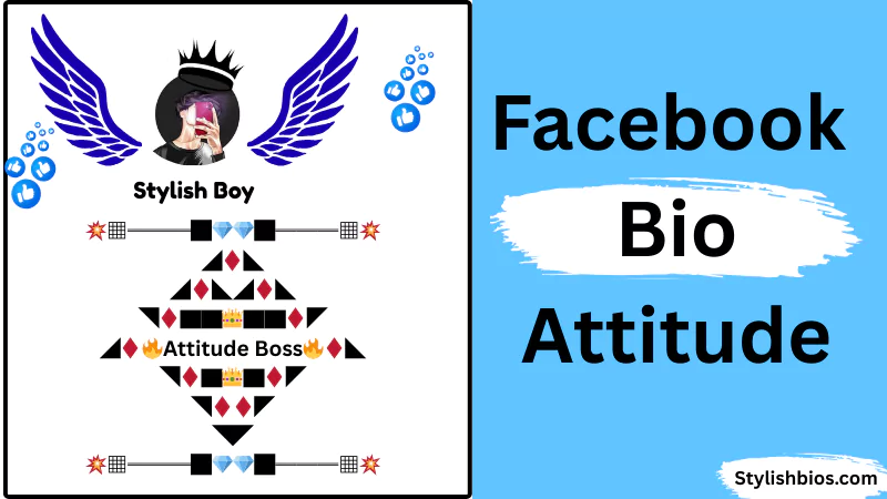 facebook bio attitude