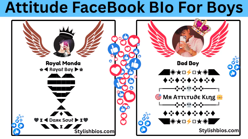 facebook bio for boys attitude