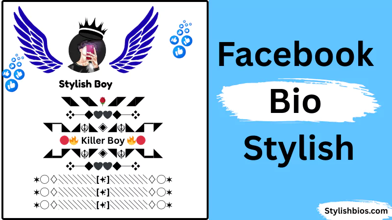 facebook bio stylish