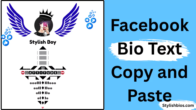 facebook bio text copy and paste