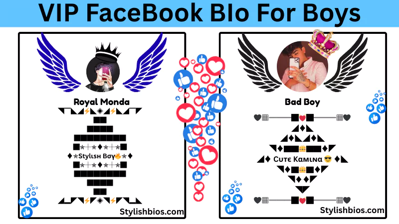 facebook vip bio for boys